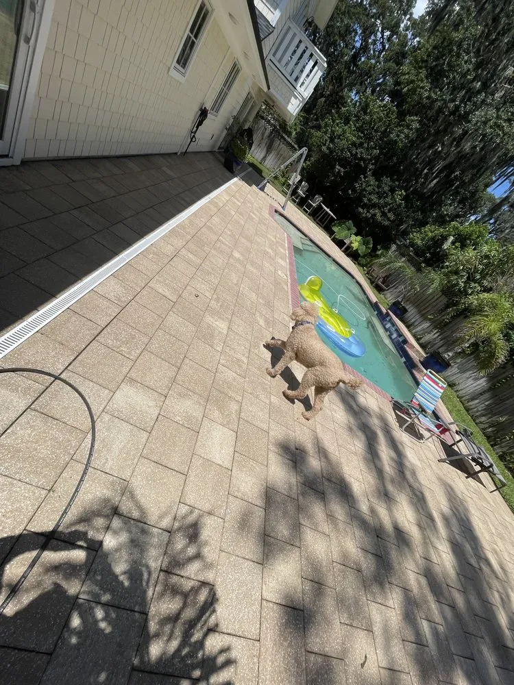 Professional yard cleanup service in Jacksonville, FL by Alcantara Landscaping