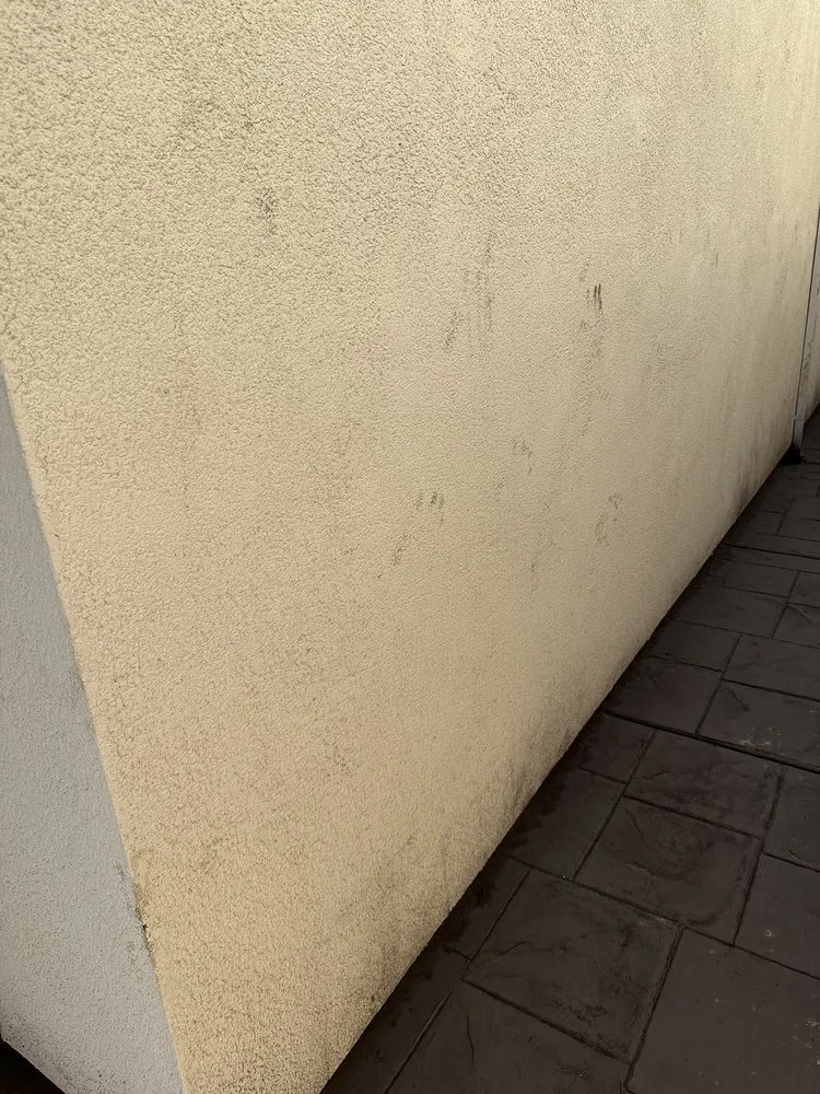 Local landscape design in Sacramento, CA by Alcaraz Landscaping