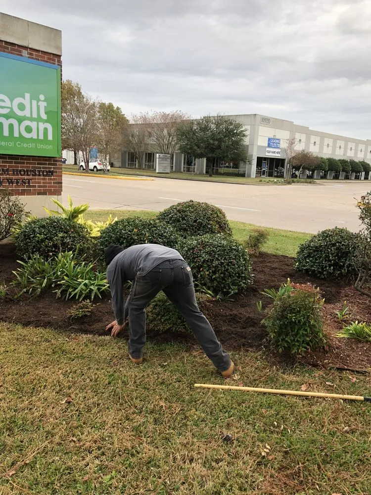 Custom landscaping services in Houston, TX - Alcaraz's Lawn Care