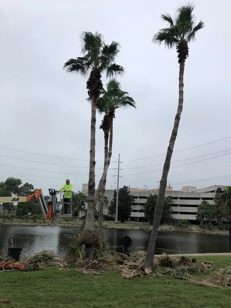 Reliable yard cleanup service in Houston, TX by Alcaraz's Lawn Care