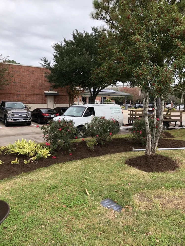 Expert yard cleanup service for homes across Houston, TX - Alcaraz's Lawn Care