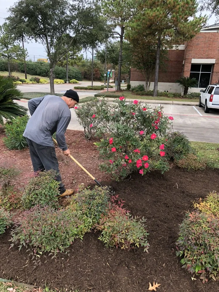 Custom garden landscaping in Houston, TX by Alcaraz's Lawn Care