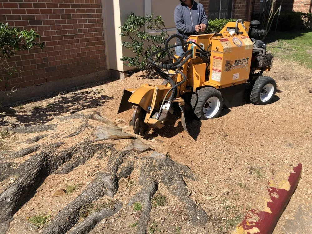 Local lawn mowing service with custom design in Houston, TX by Alcaraz's Lawn Care