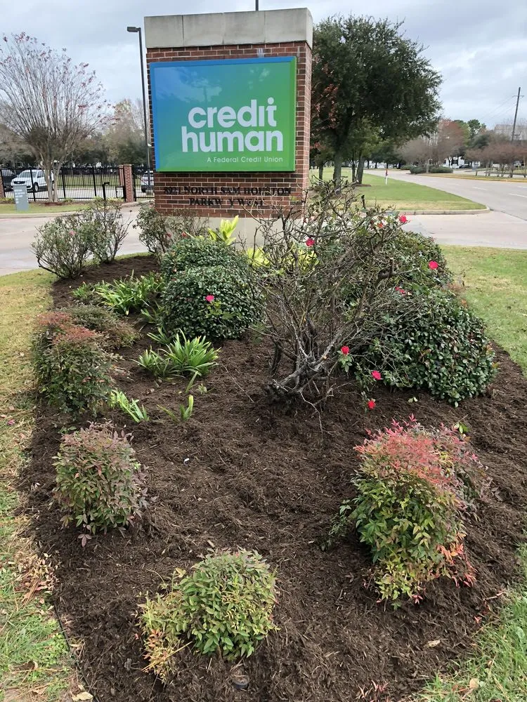 Expert landscaping services for residential properties across Houston, TX - Alcaraz's Lawn Care