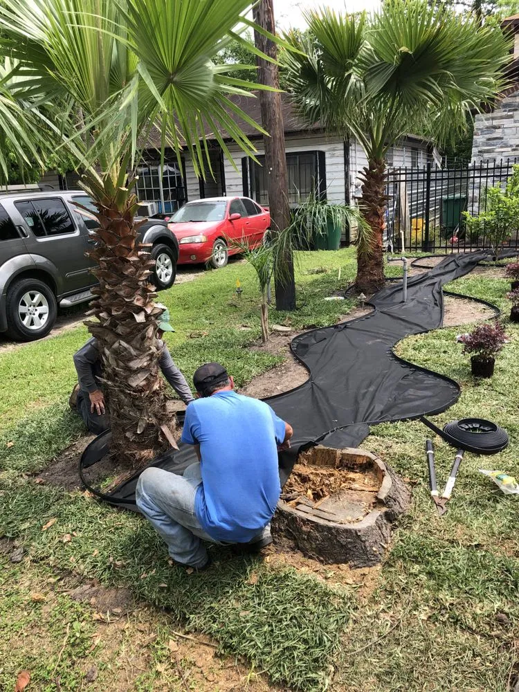 Local lawn care service experts serving Houston, TX - Alcaraz's Lawn Care