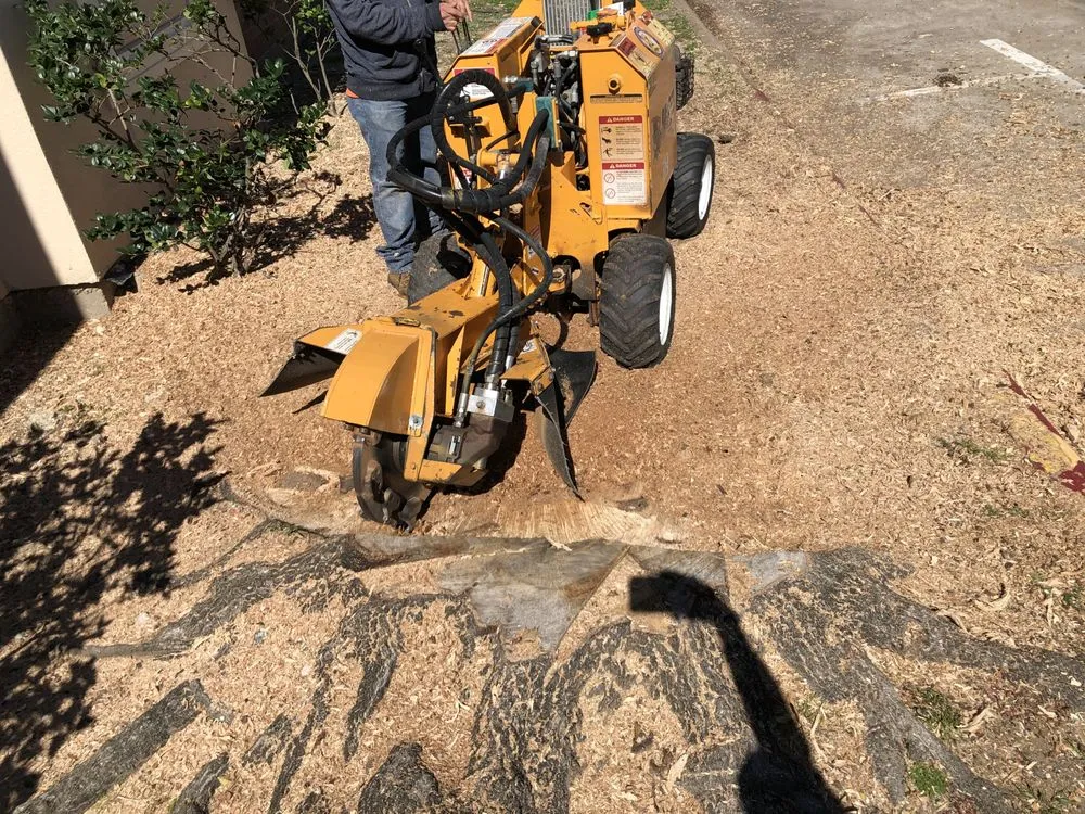 Affordable lawn mowing service in Houston, TX by Alcaraz's Lawn Care