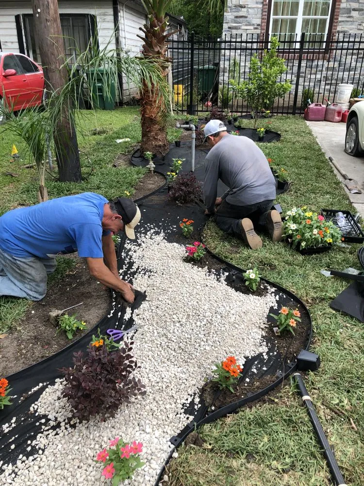 Affordable landscaping services in Houston, TX by Alcaraz's Lawn Care