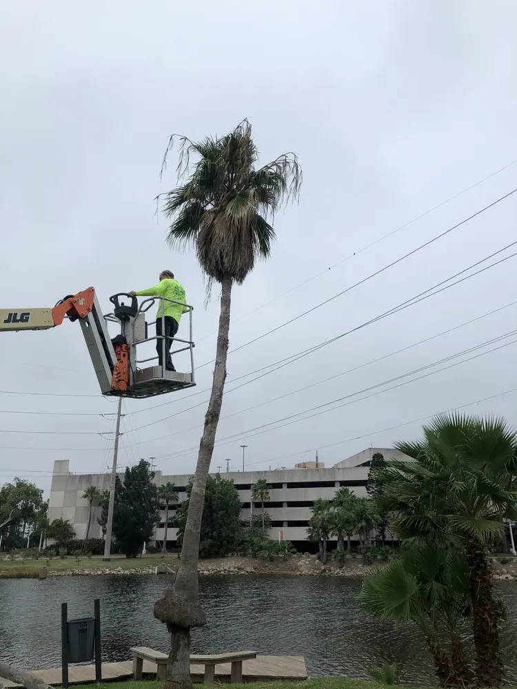 Affordable lawn mowing service in Houston, TX - Alcaraz's Lawn Care