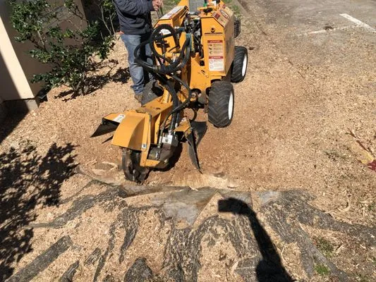 Alcaraz's Lawn Care Logo