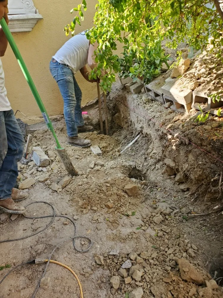 Reliable residential landscaping in Morro Bay, CA - Alcatraz Landscape