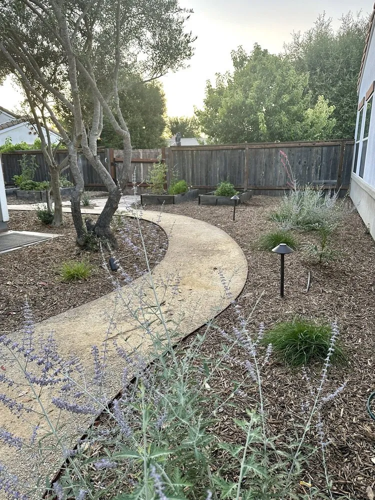 Professional lawn mowing service in Morro Bay, CA by Alcatraz Landscape