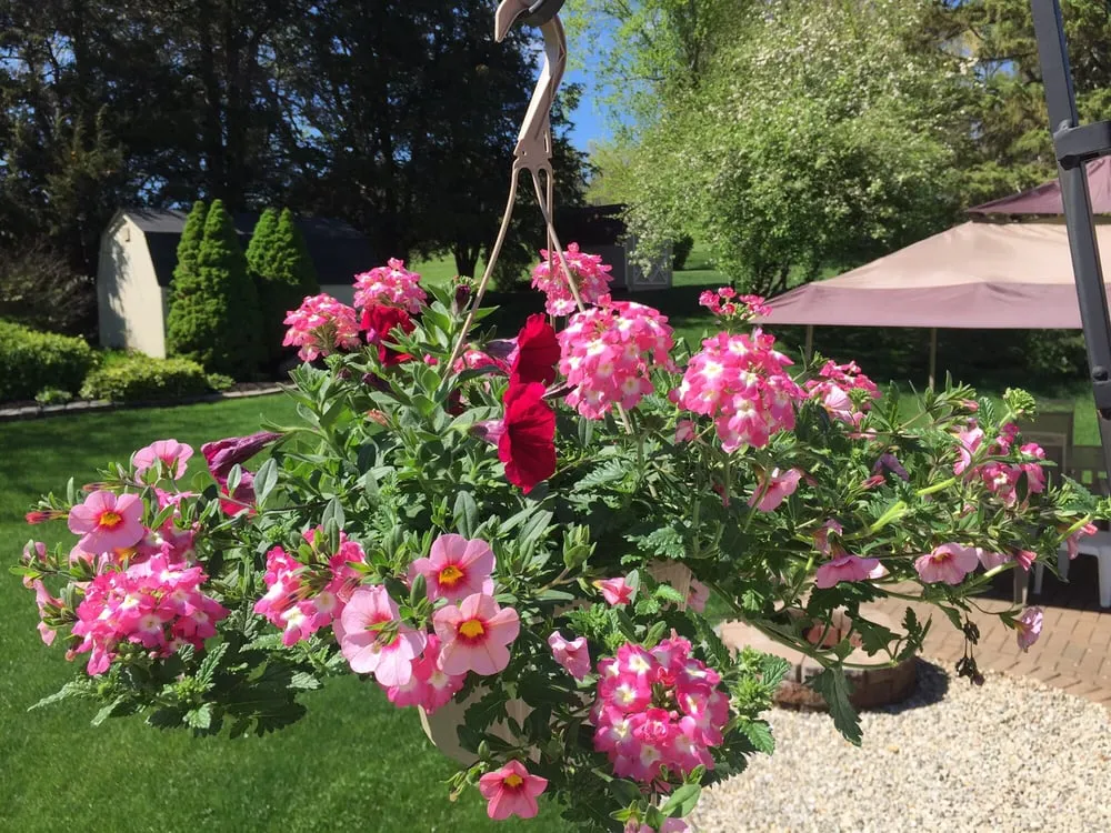 Expert outdoor landscaping near you across Portland, CT - Alchemy Greenhouse And Landscaping