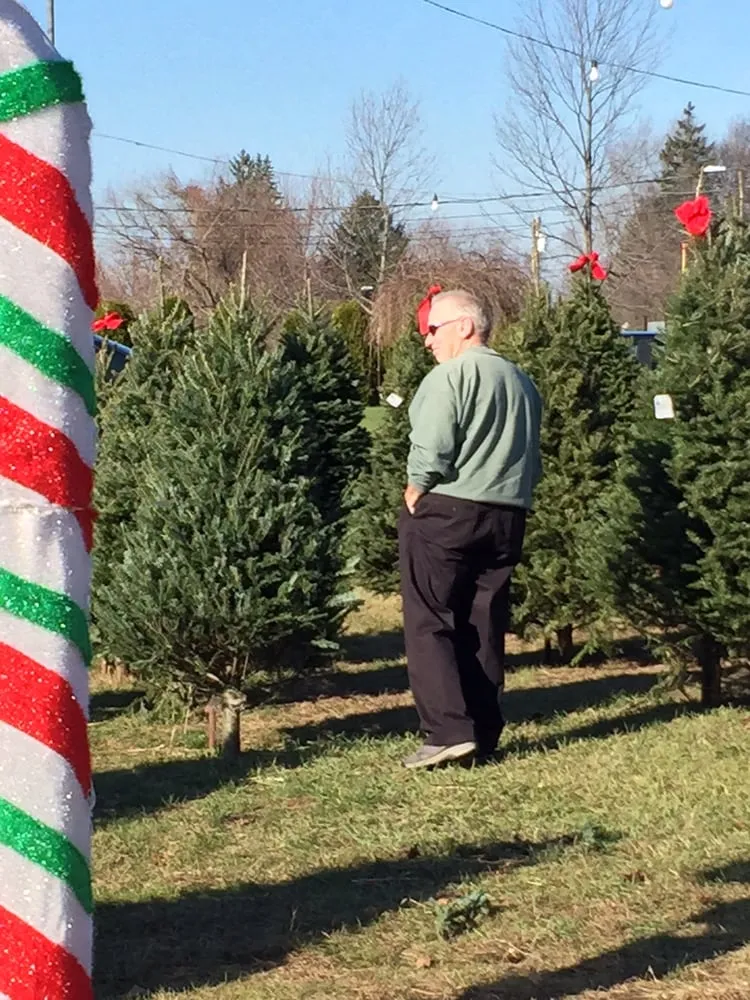 Trusted yard maintenance near you across Portland, CT - Alchemy Greenhouse And Landscaping