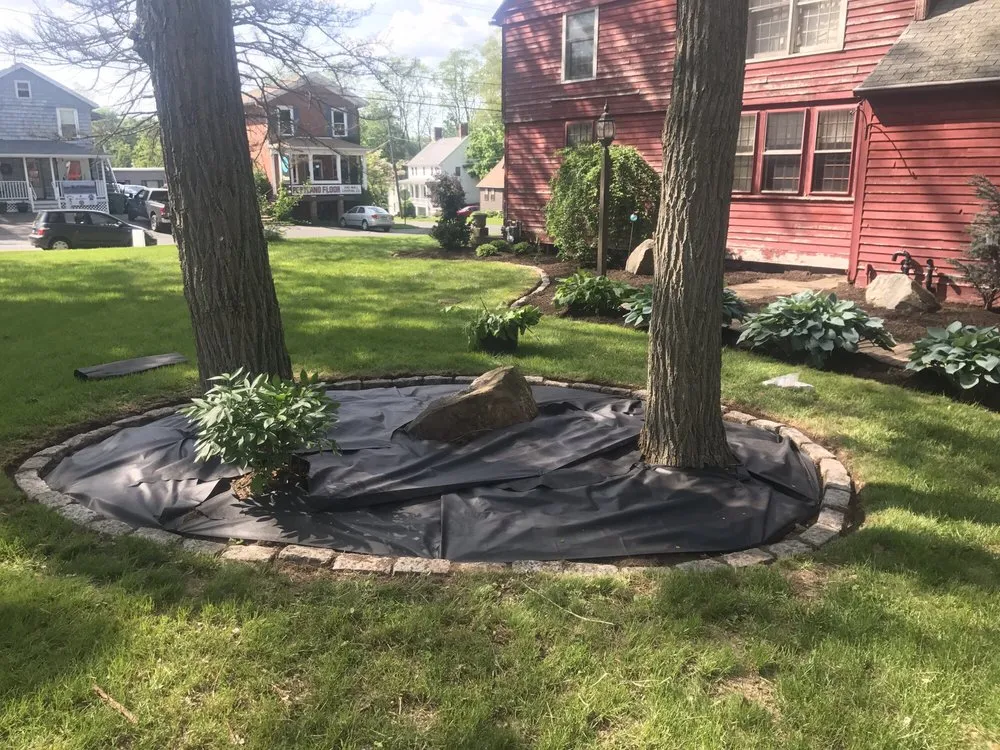 Professional yard cleanup service for outdoor upgrades in Portland, CT by Alchemy Greenhouse And Landscaping