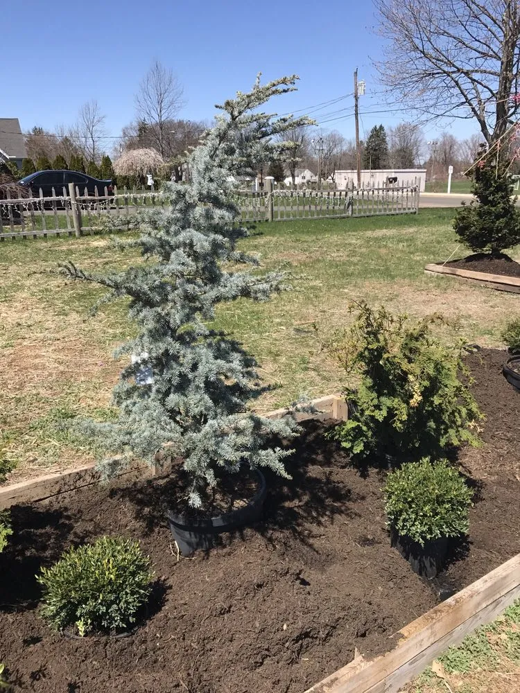 Top-rated lawn care service experts serving Portland, CT - Alchemy Greenhouse And Landscaping