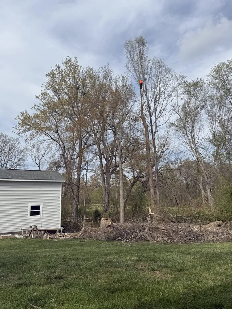 Custom landscaping services for homes across Orangeburg, SC - Alcides Tree Service