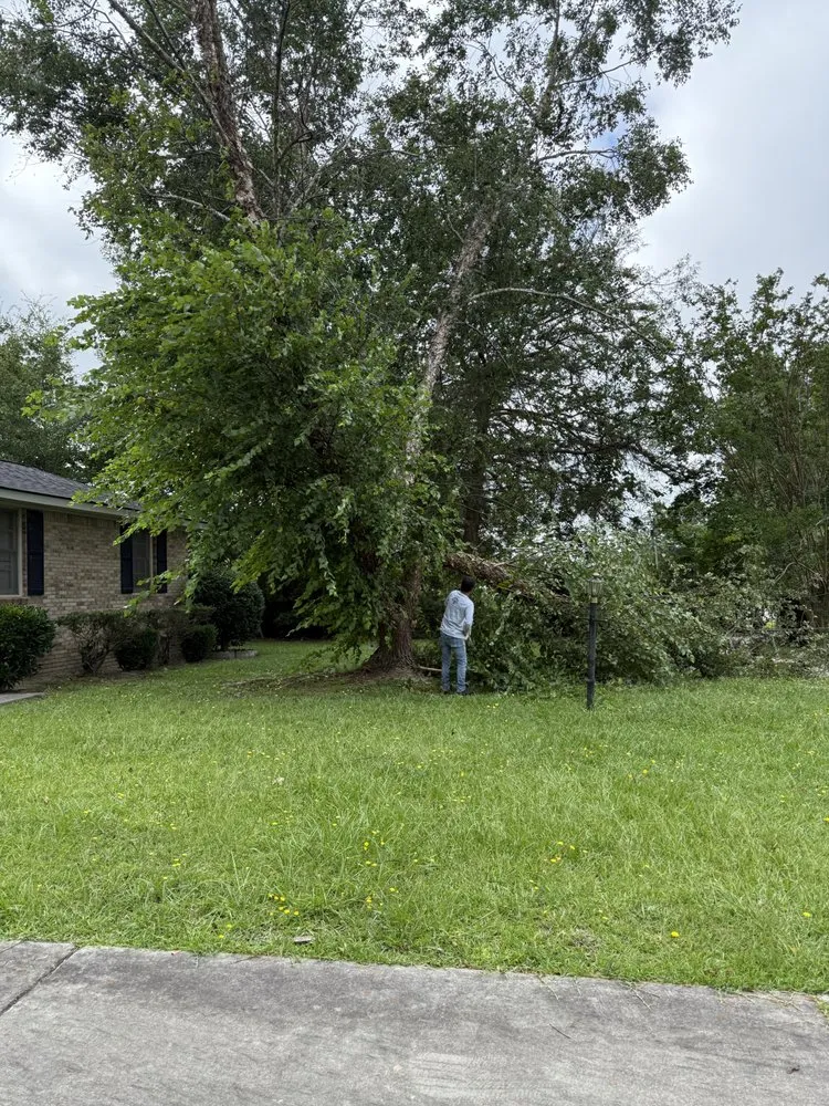 Expert garden landscaping near you in Orangeburg, SC by Alcides Tree Service