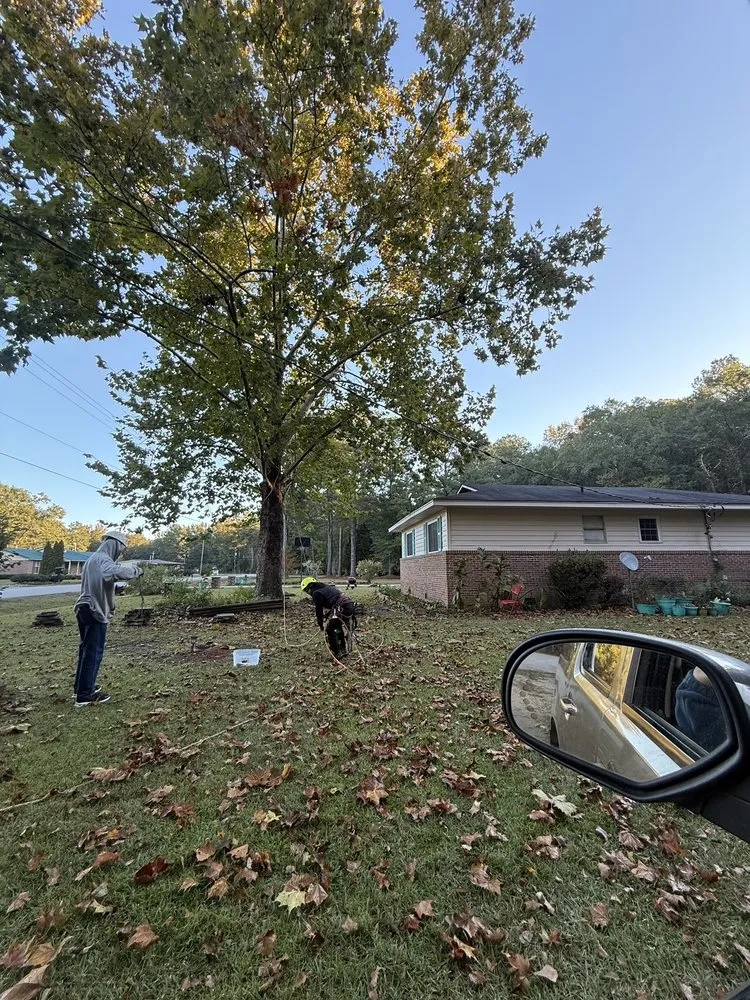 Reliable residential landscaping for beautiful yards in Orangeburg, SC by Alcides Tree Service