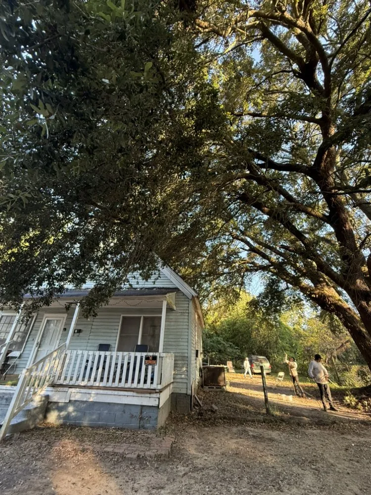 Expert landscaping services for homes in Orangeburg, SC by Alcides Tree Service