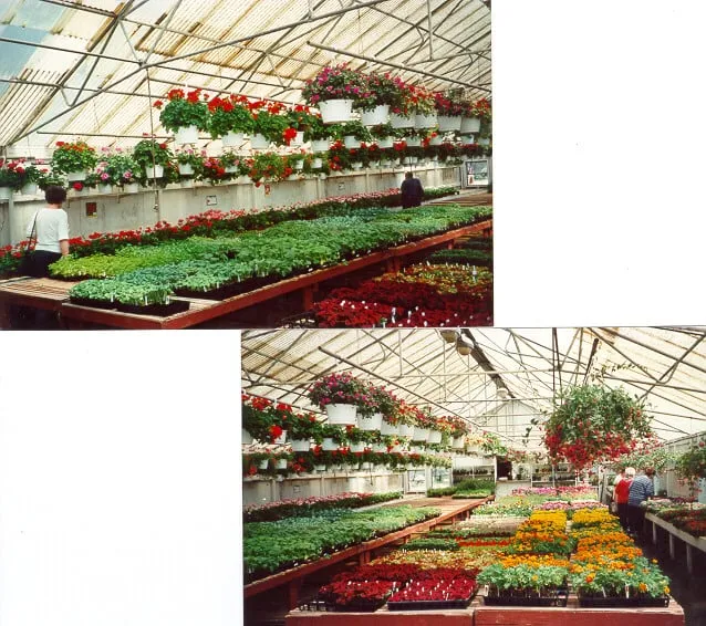 Professional lawn mowing service in Niagara Falls, NY by Alcliff Landscaping & Nursery