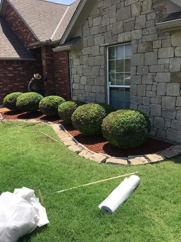 Expert yard maintenance near you in Lawton, OK by Alcorta’s Professional Services