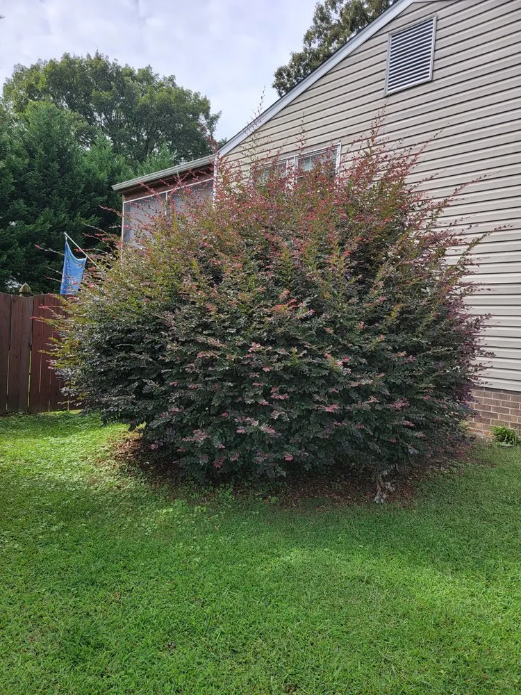 Expert lawn mowing service in Richmond, VA by ALCS Lawn Care