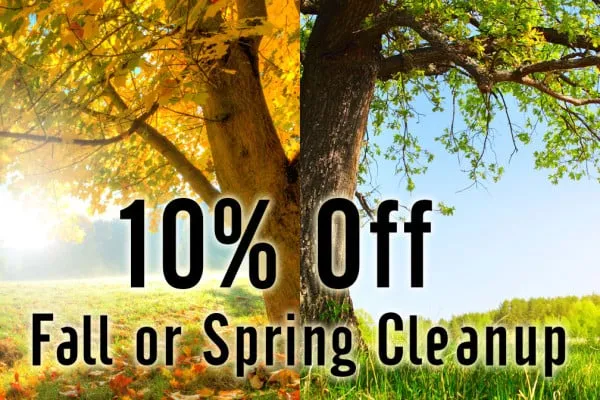 Affordable lawn care service in Colton, CA by Aldama's Gardening Service