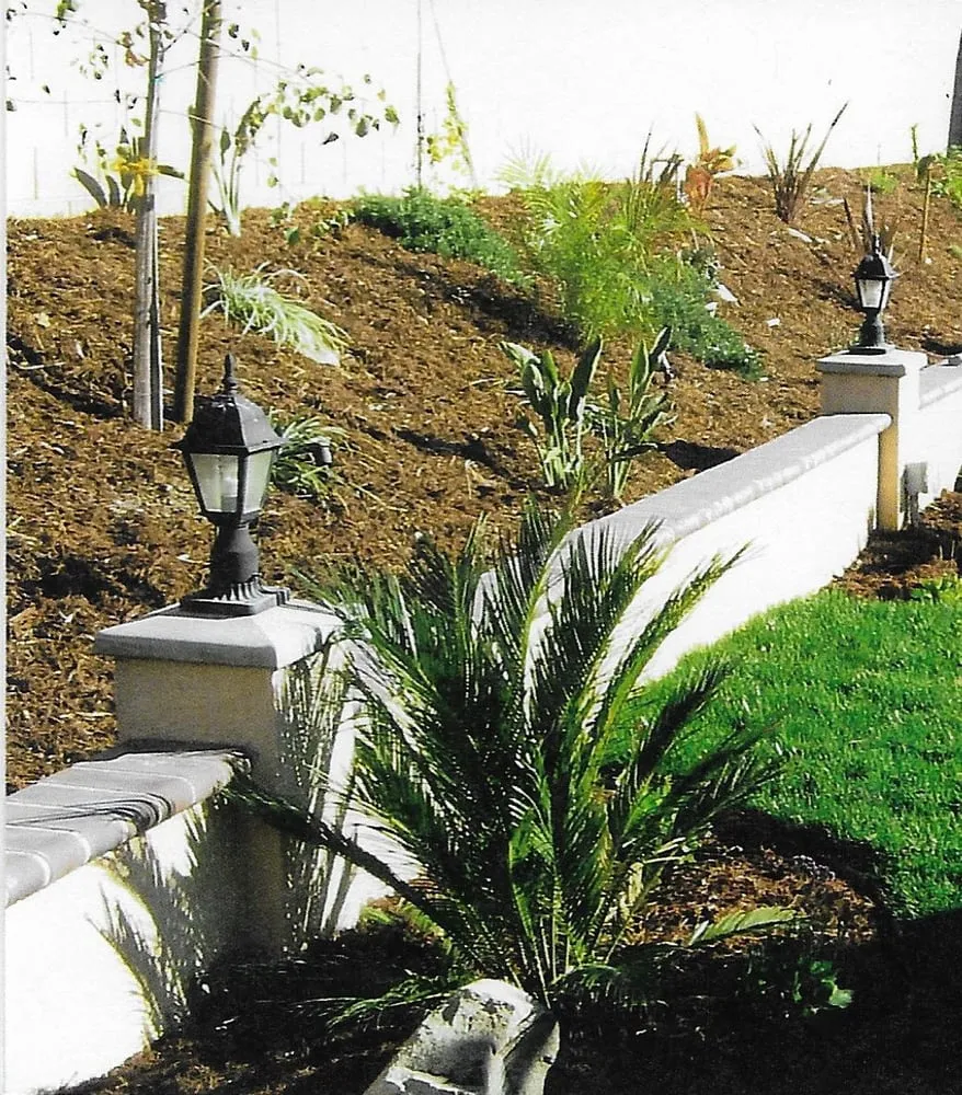 Affordable residential landscaping for homes in Colton, CA by Aldama's Gardening Service
