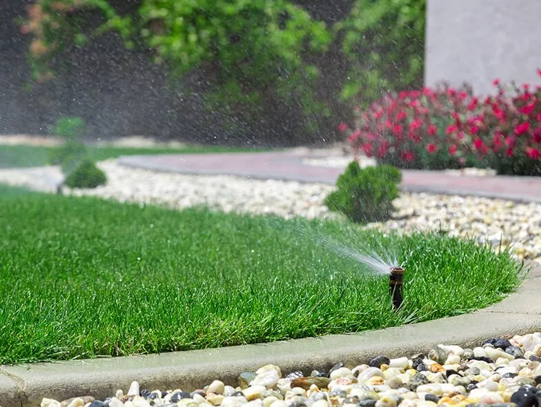 Top-rated landscape design near you across Mira Loma, CA - Aldama's Landscaping