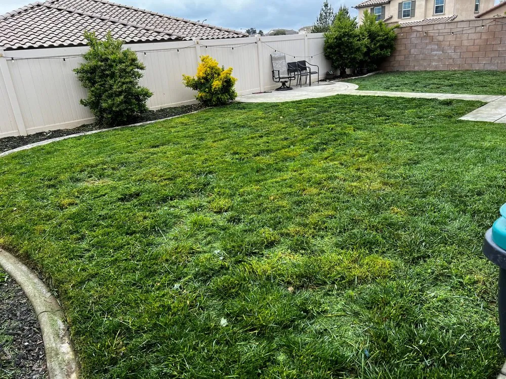 Local landscaping services for homes in Beaumont, CA by Aldama's Lawn Care