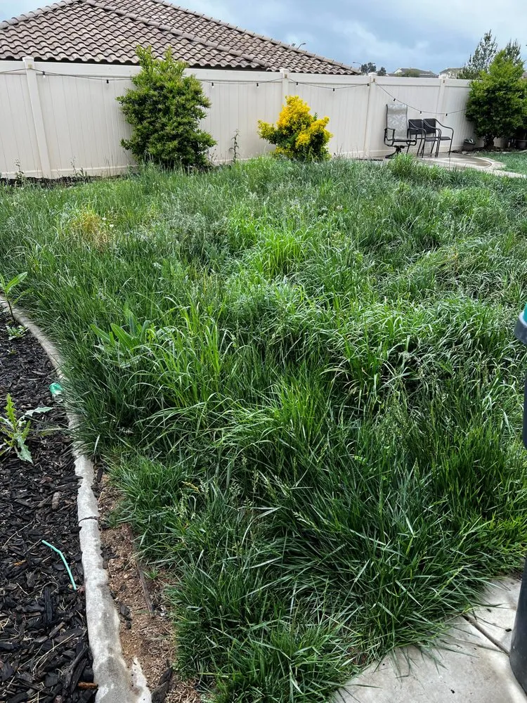 Reliable garden landscaping for year-round maintenance across Beaumont, CA - Aldama's Lawn Care