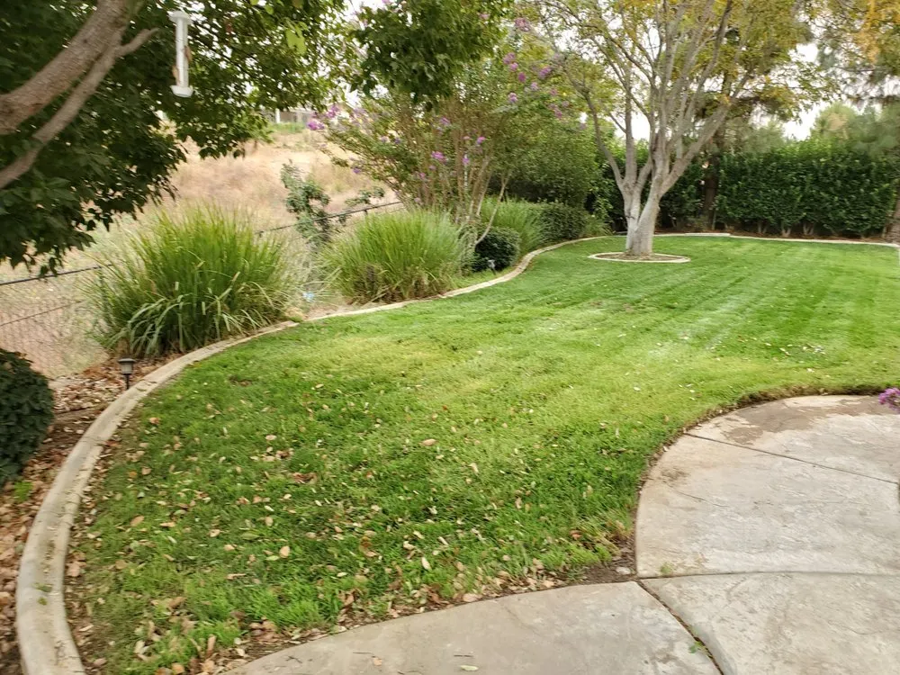 Top-rated outdoor landscaping for homes across Beaumont, CA - Aldama's Lawn Care