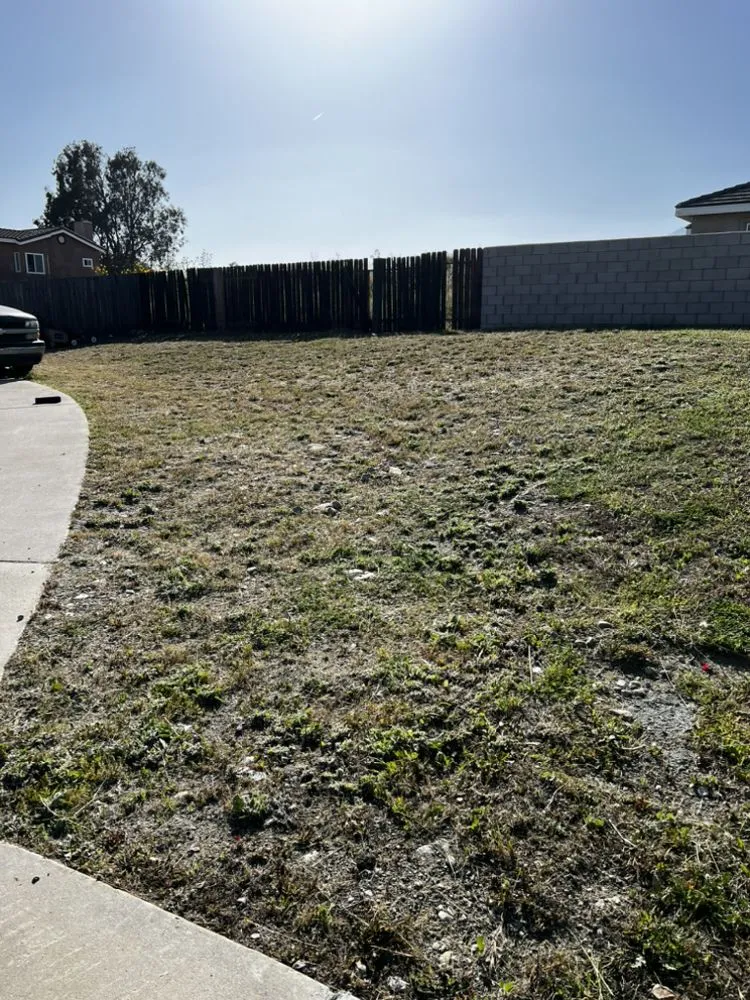 Local landscape installation for homes in Beaumont, CA by Aldama's Lawn Care