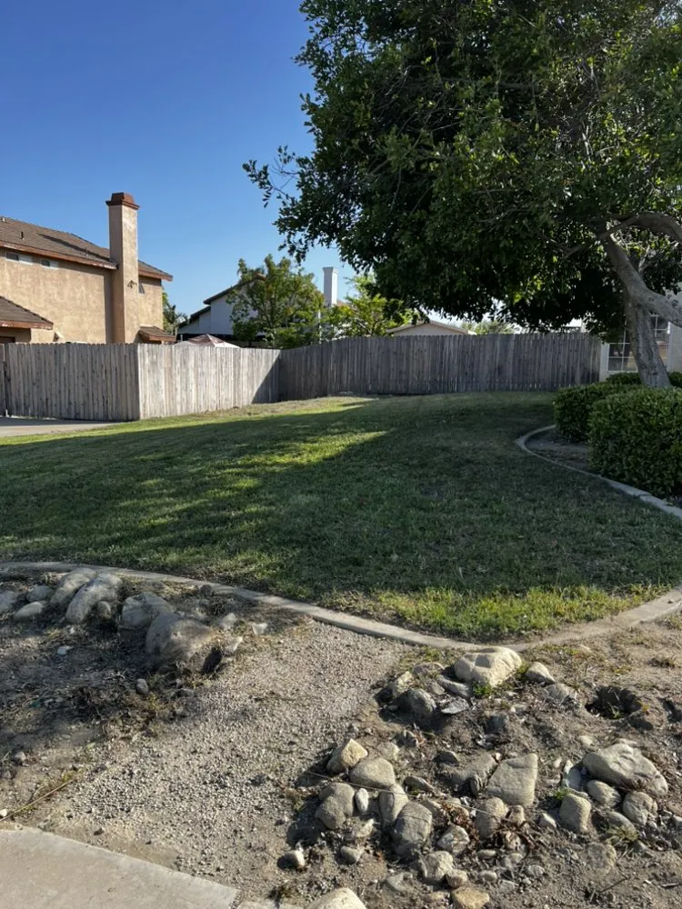 Affordable yard cleanup service in Beaumont, CA by Aldama's Lawn Care