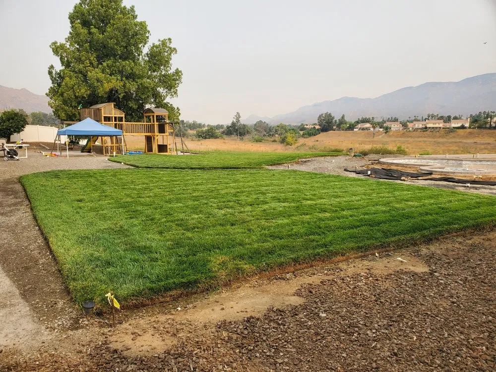 Affordable lawn mowing service for year-round maintenance in Beaumont, CA by Aldama's Lawn Care