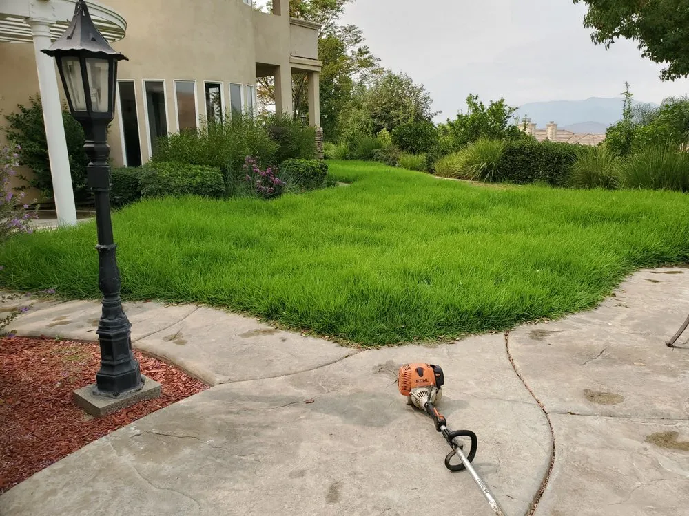 Reliable yard cleanup service in Beaumont, CA - Aldama's Lawn Care