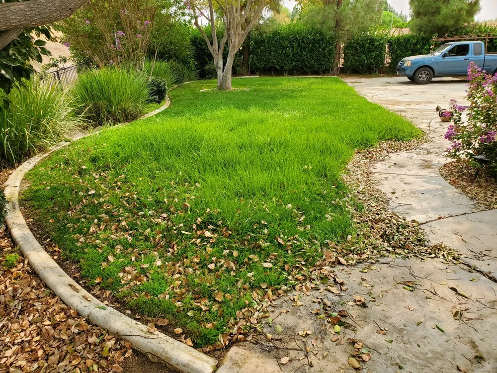 Top-rated lawn mowing service in Beaumont, CA by Aldama's Lawn Care