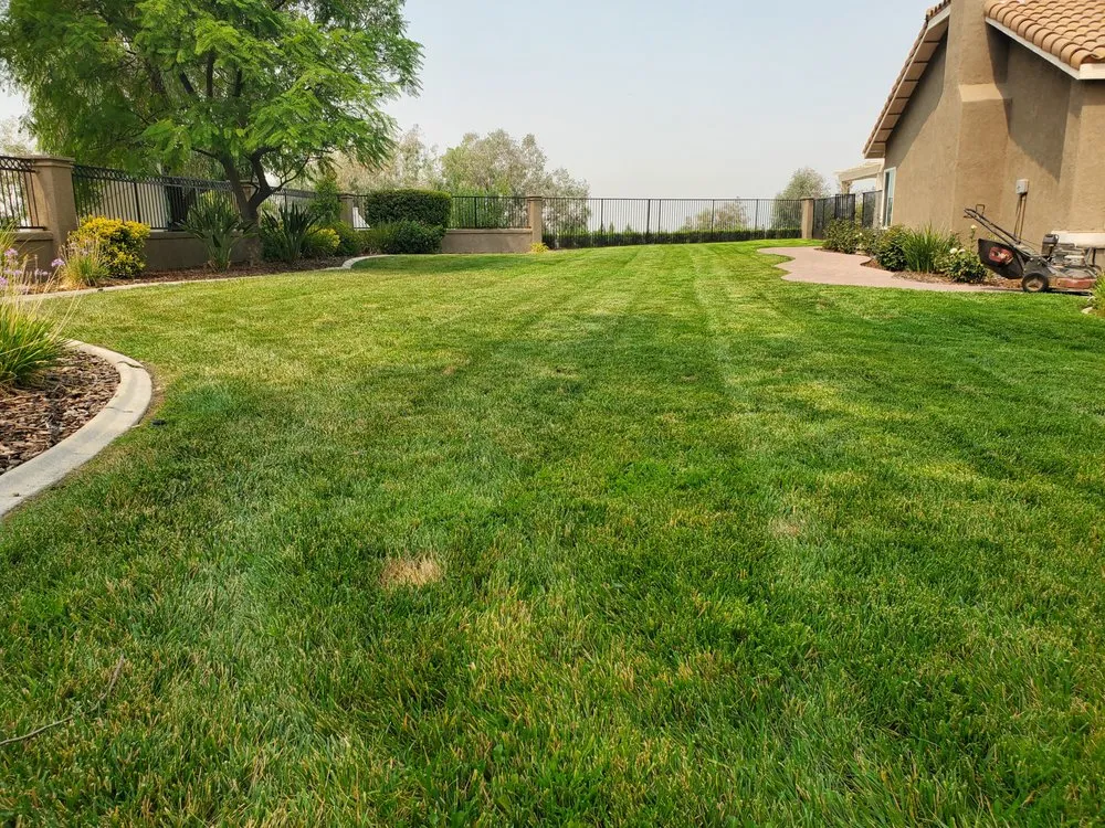 Expert yard maintenance for residential properties across Beaumont, CA - Aldama's Lawn Care