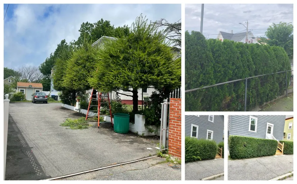 Reliable lawn care service for year-round maintenance across Providence, RI - Aldana Brothers