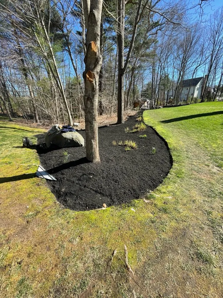 Professional yard maintenance in Providence, RI - Aldana Brothers