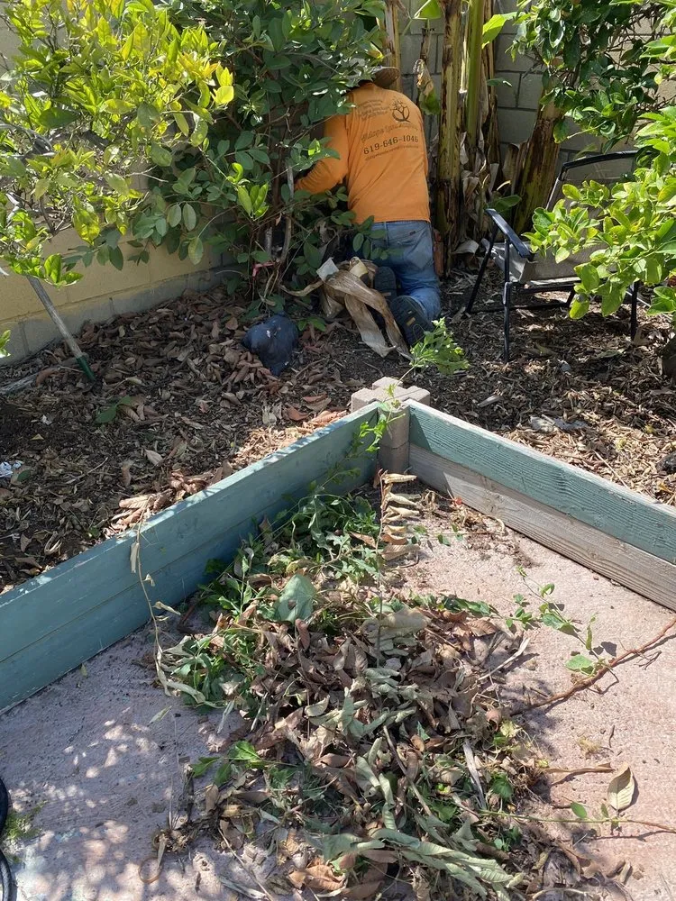 Local residential landscaping for year-round maintenance in San Diego, CA by Aldape G Landscaping