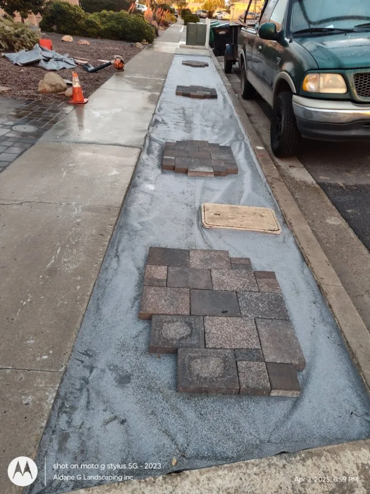 Professional lawn mowing service in San Diego, CA by Aldape G Landscaping