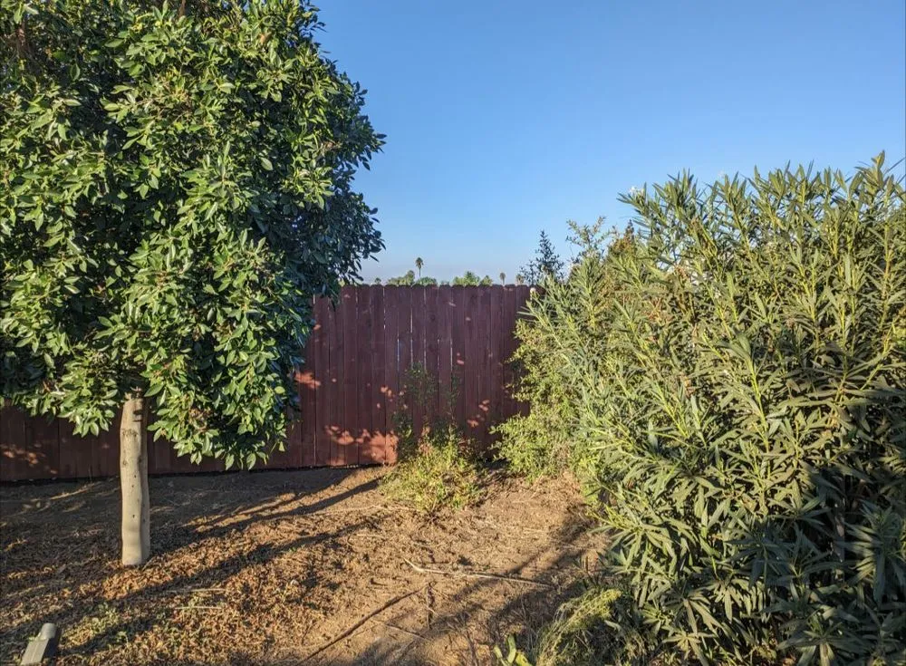 Reliable yard maintenance for year-round maintenance across San Diego, CA - Aldape G Landscaping