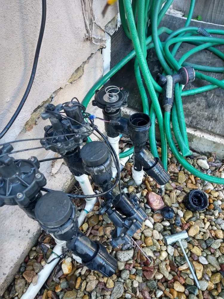 Professional outdoor landscaping in San Diego, CA by Aldape G Landscaping