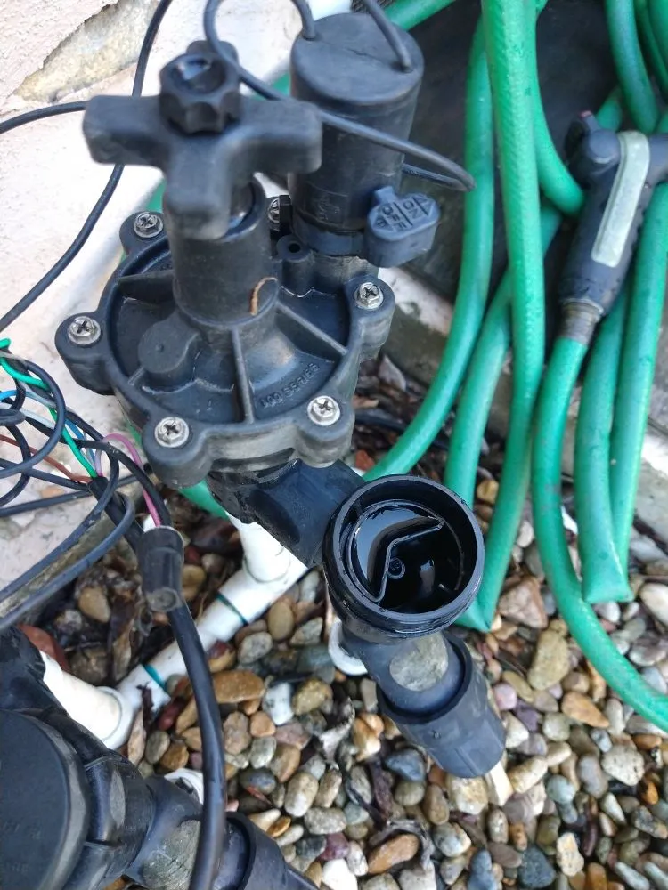 Professional garden landscaping for year-round maintenance in San Diego, CA by Aldape G Landscaping