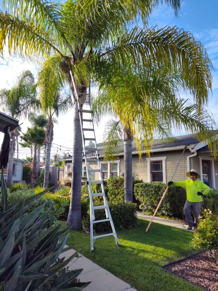 Reliable landscape design in San Diego, CA - Aldape G Landscaping