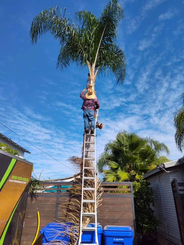 Custom outdoor landscaping in San Diego, CA by Aldape G Landscaping