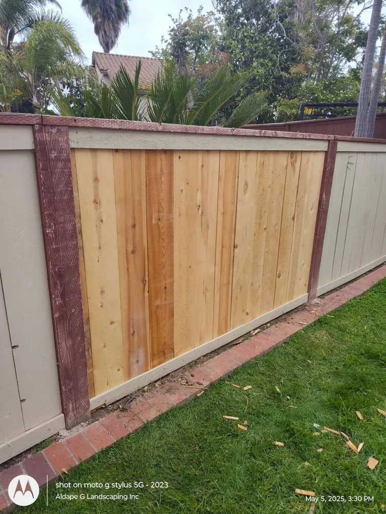 Professional landscape design in San Diego, CA by Aldape G Landscaping