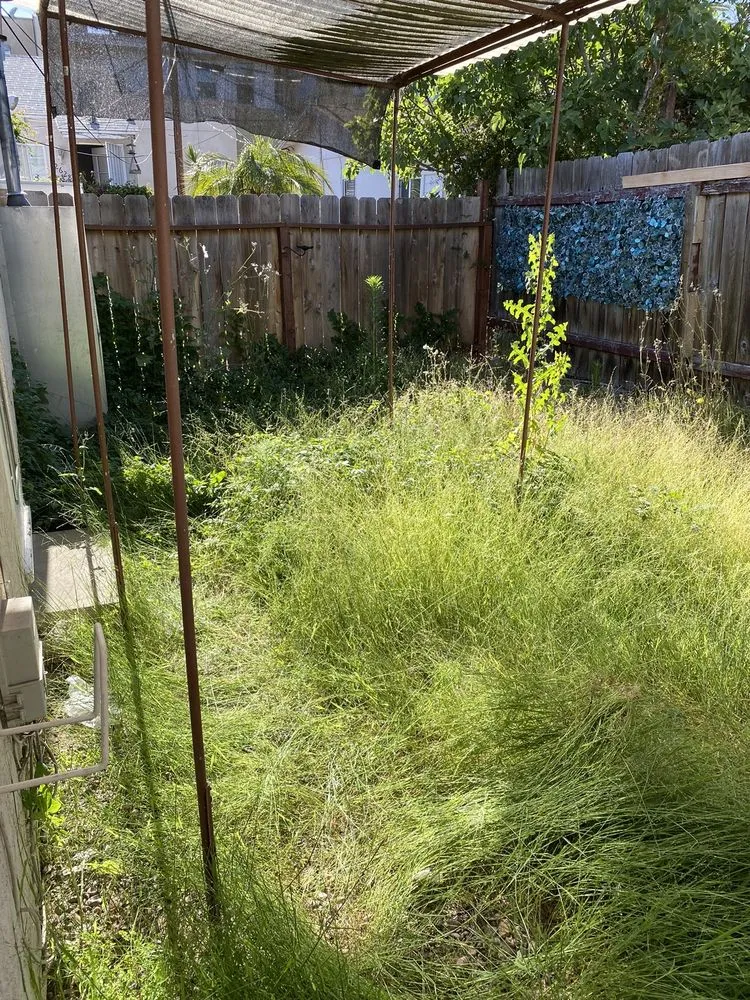 Custom lawn mowing service in San Diego, CA by Aldape G Landscaping