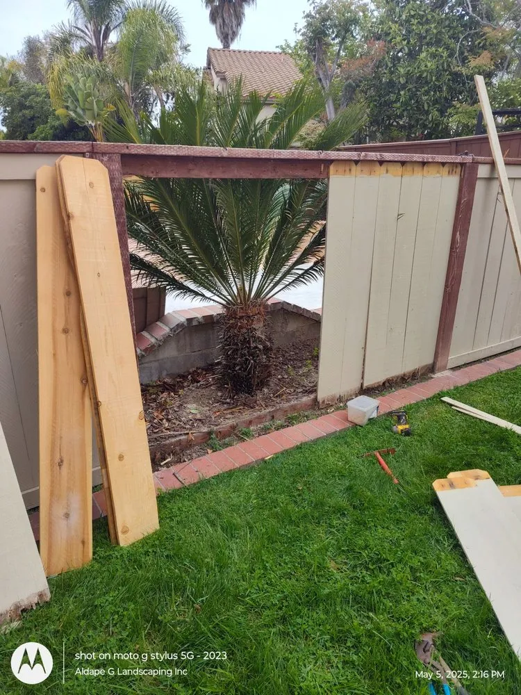 Local yard maintenance near you in San Diego, CA by Aldape G Landscaping